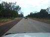 Wild donkey on the Cape Leveque Road